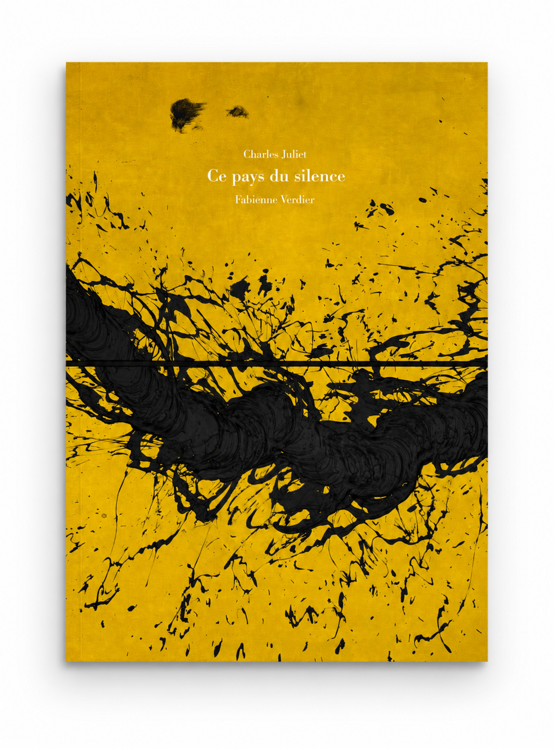 Couverture de l'ouvrage d'art Ce pays du silence